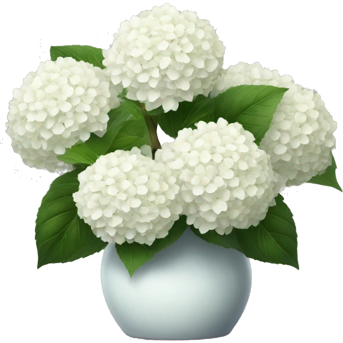 White Hydrangeas in a vase emoji
