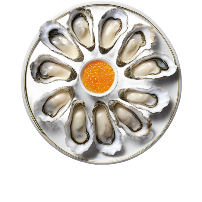 Display of oysters, Kaviar and white powder in lines  emoji