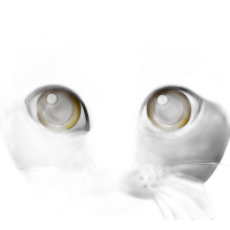 Grey cat with leff-blind-eye emoji