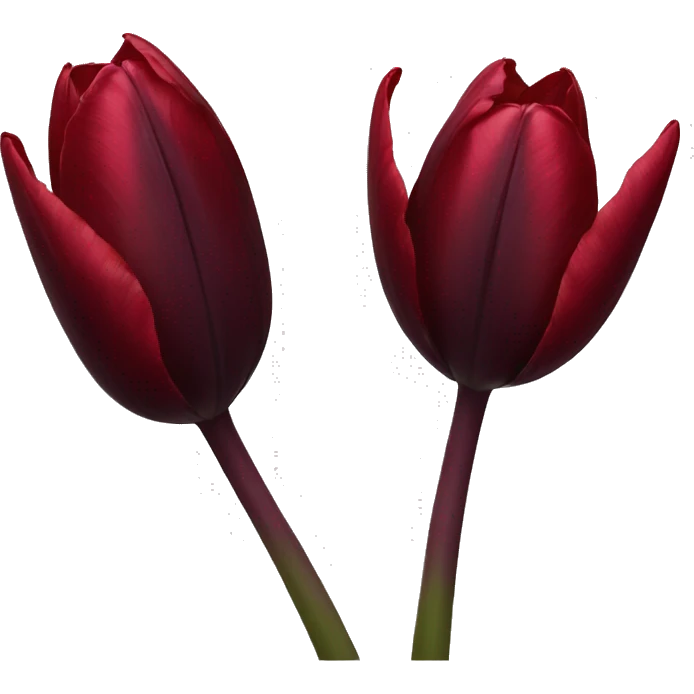 Dark red tulip emoji