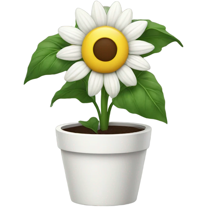 White sunflower in planter emoji