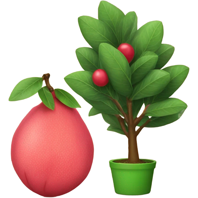Guava next to a Christmas tree emoji