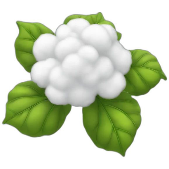 cotton flower like explosion cloud emoji