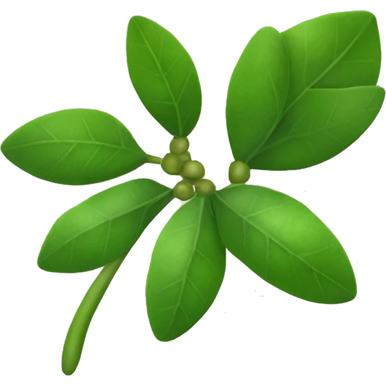 Christmas mistletoe emoji