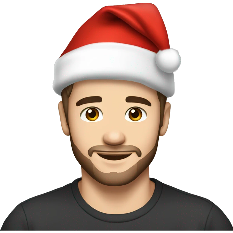 Liam Payne wearing santa hat emoji