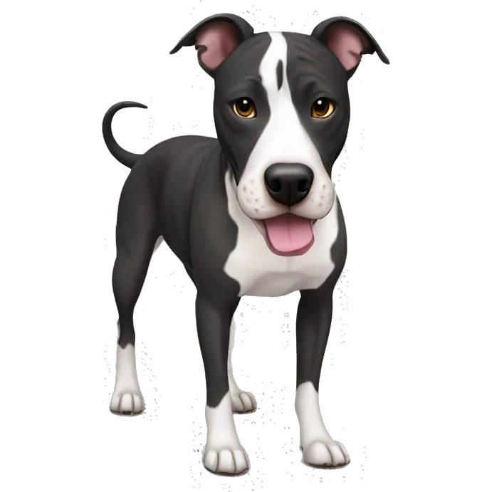 Black, white and brindle Pitbull mixed with greyhound with and black patches emoji