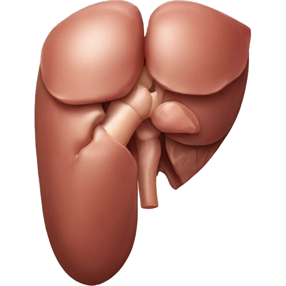human liver emoji