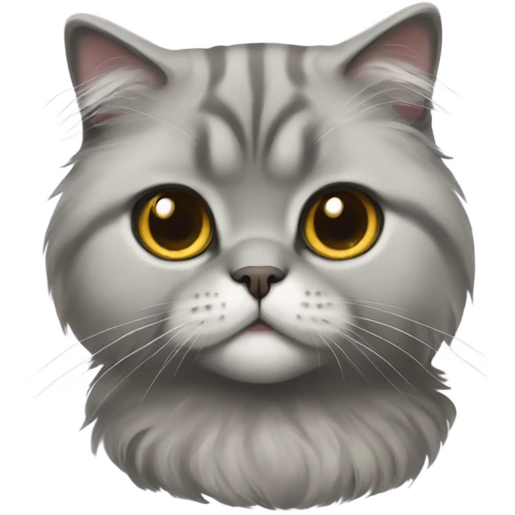 gray scottish fold long-hair cat emoji