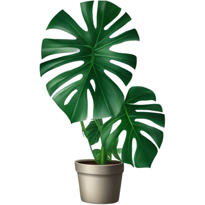 monstera plant emoji