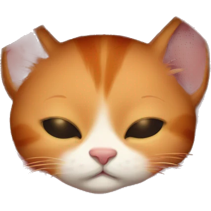 Red kitten sleep in blanket emoji