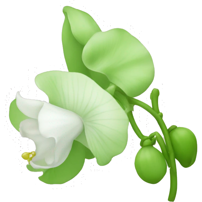 sweet pea flower emoji