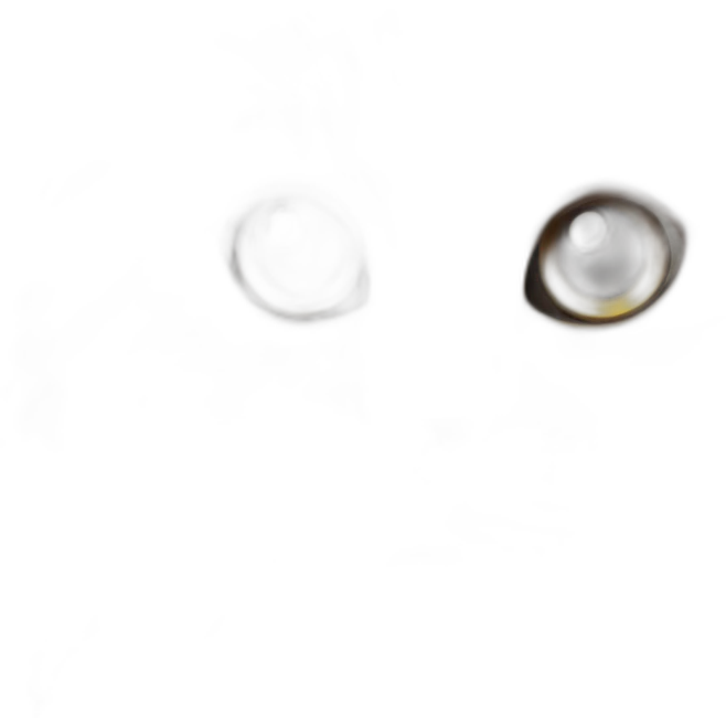 fluffy cat emoji