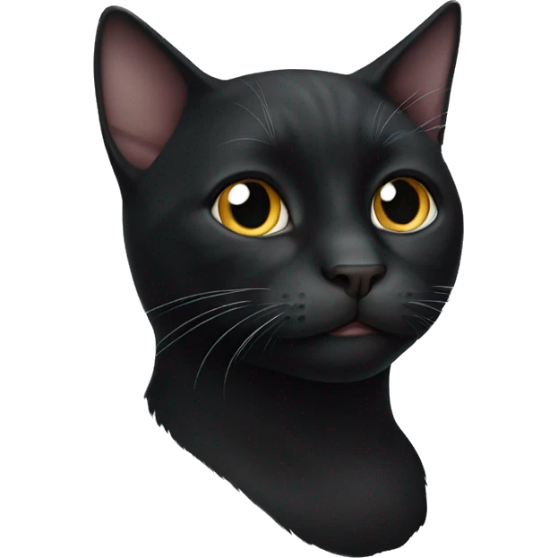 black cat white chin emoji