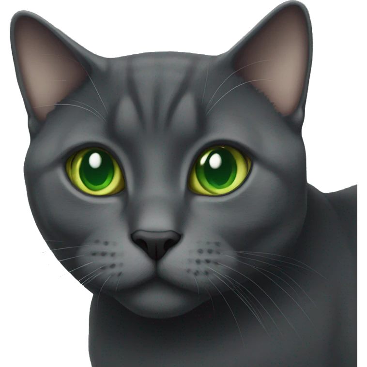 Dark grey British short hair cat with green eyes emoji