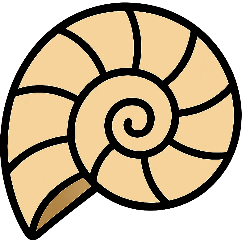 Beige ammonite fossil shell with spiral pattern and black outlines emoji