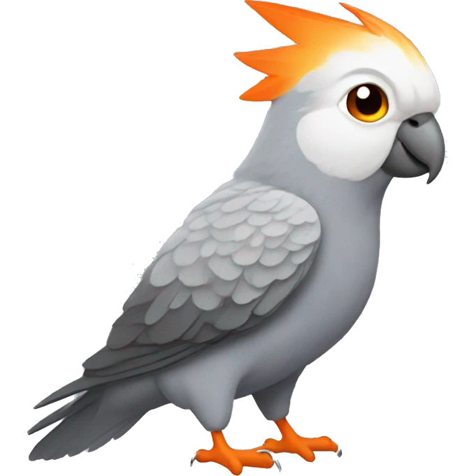 Grey cockatiel with orange  emoji