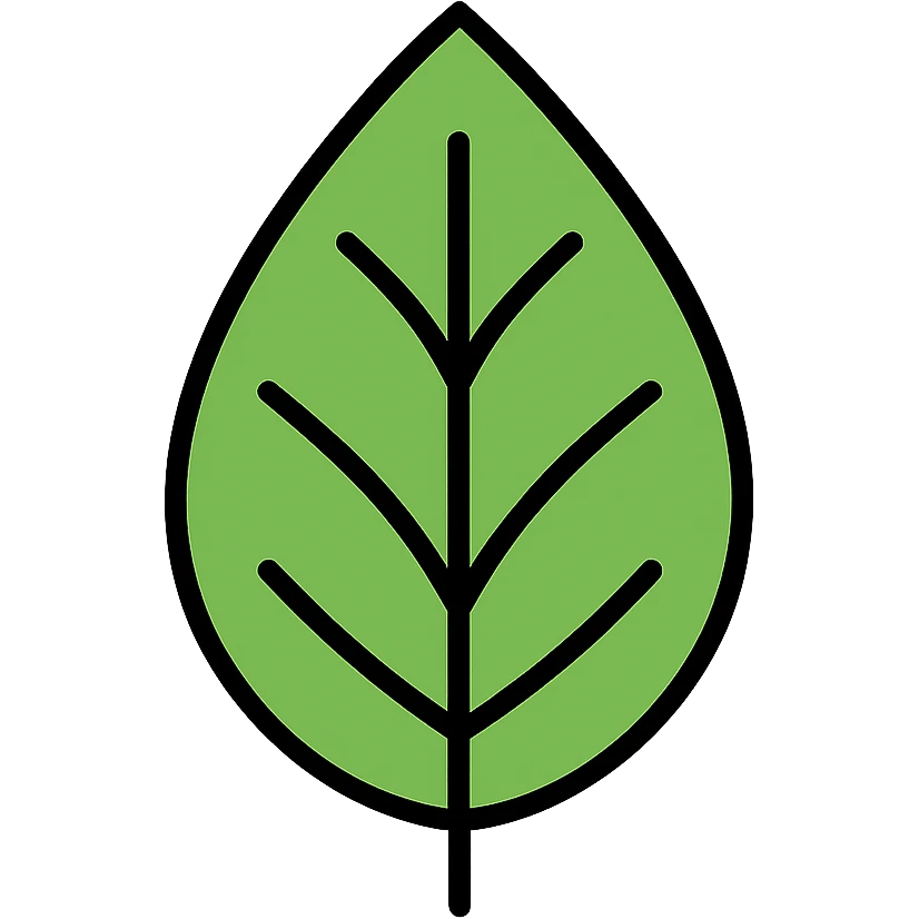 green leaf with black outline, subtle color gradients, modern icon style emoji