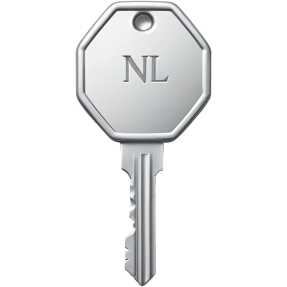 small silver metal key with hexagonal head and the word NATIONAL engraved, clean lines, soft silver tone, minimalistic and precise emoji