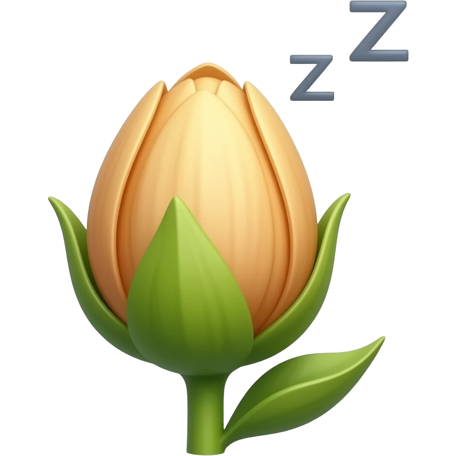 A flower that has not bloomed yet with Z above it like it is sleeping emoji