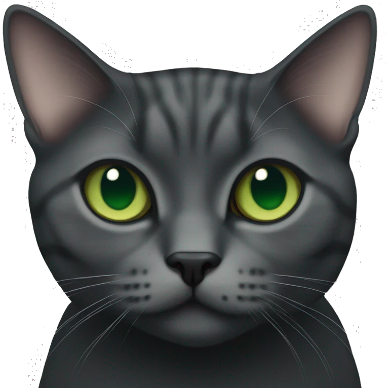 British short hair cat in black with green eyes  emoji