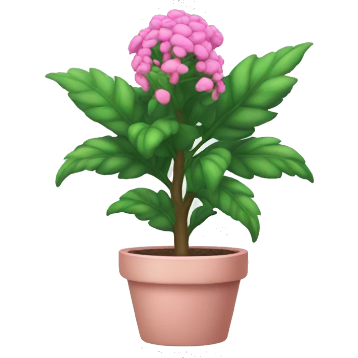 Pink plant emoji