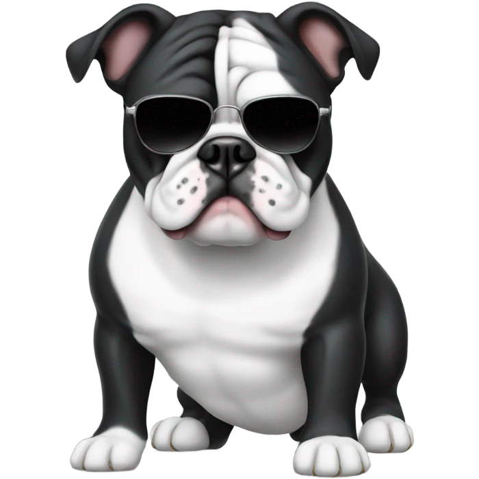Black and white bulldog with sunglasses  emoji