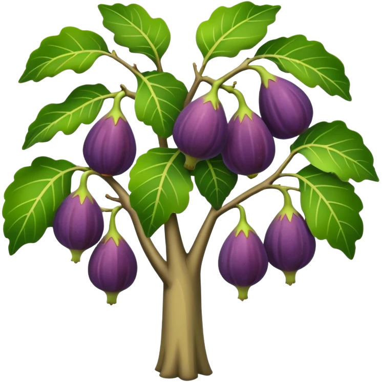 fig tree  emoji