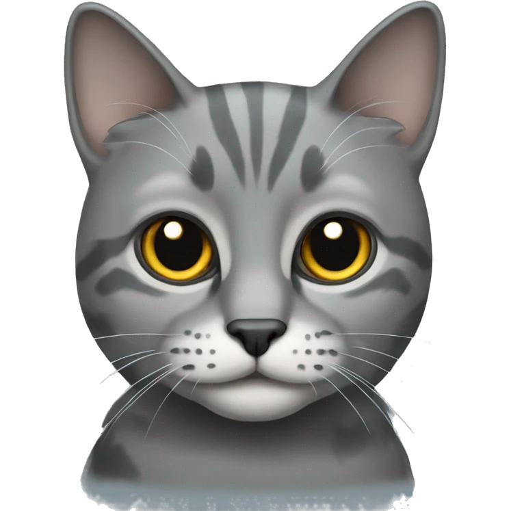 grey scotland cat emoji