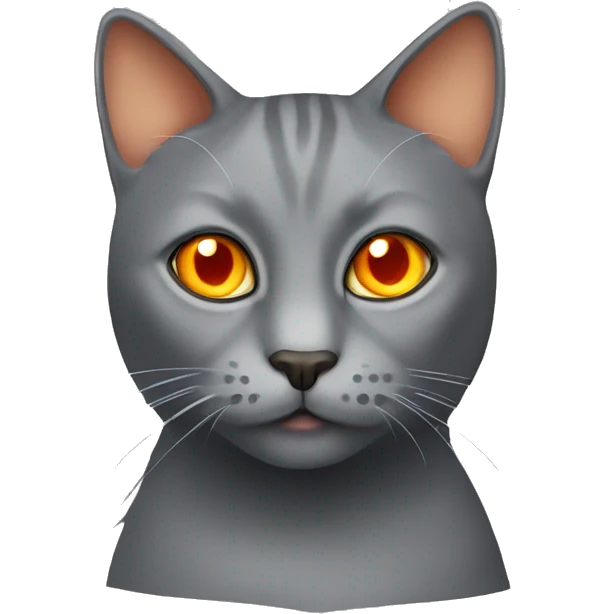 grey cat with orange eyes emoji