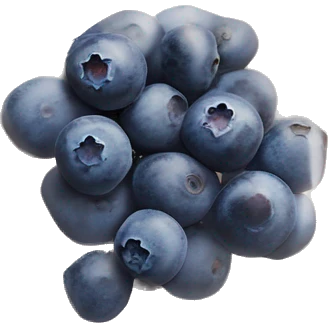 small blueberries in plastic packet organic farmer’s market realistic soft textures emoji