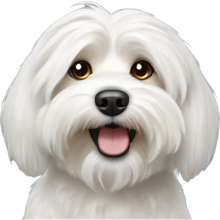 white havanese dog emoji