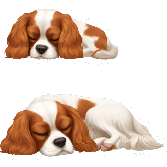 Cavalier King Charles spaniel sleeping  emoji