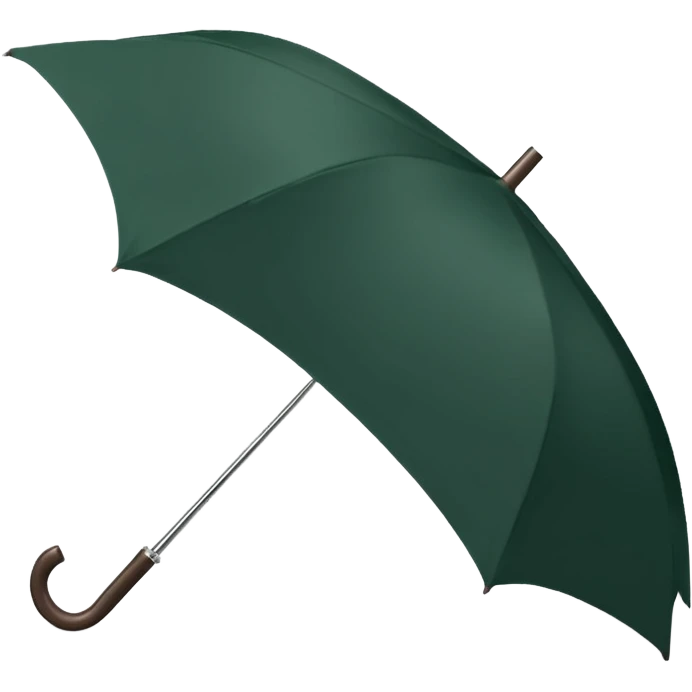 dark green umbrella emoji
