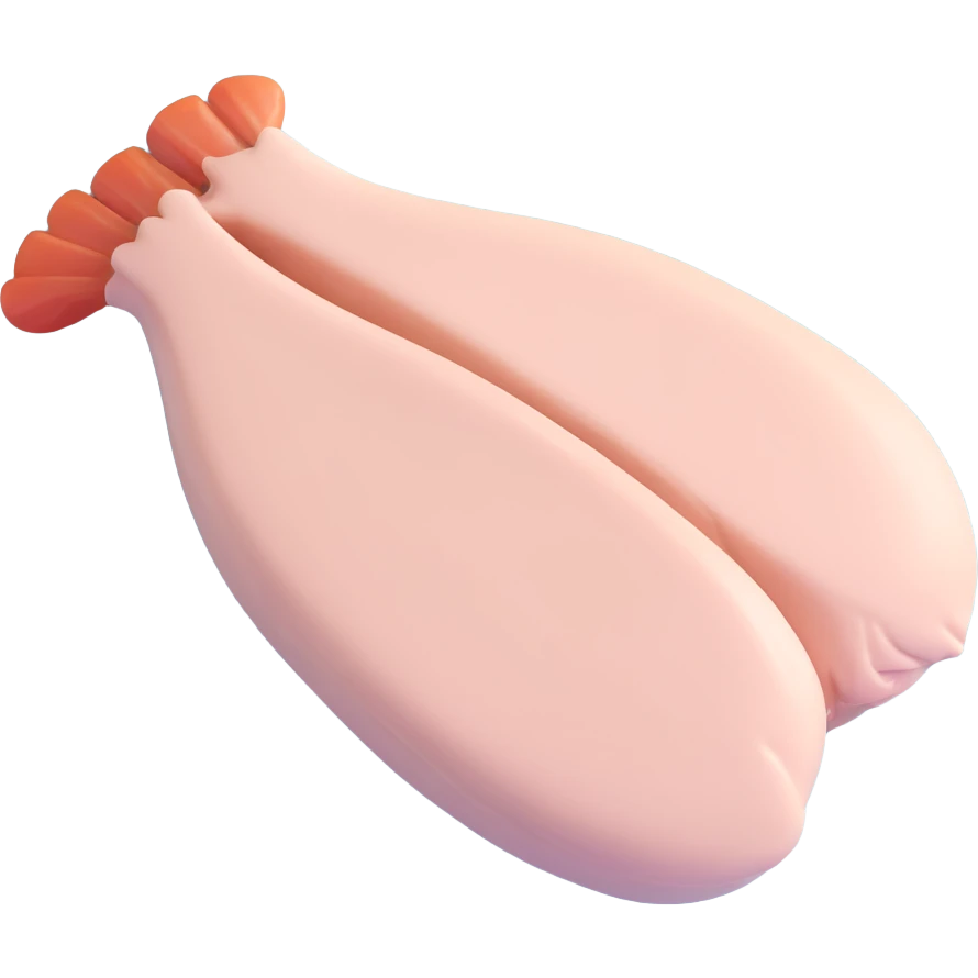 raw chicken breast emoji