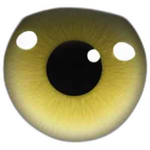 eyes in igloo emoji