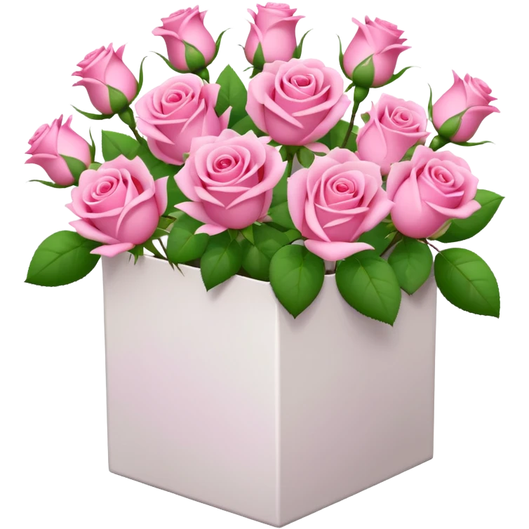bouquet of pink 15 roses in a white box emoji