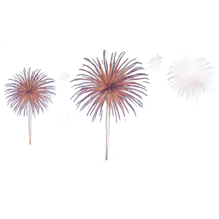 City with fireworks emoji