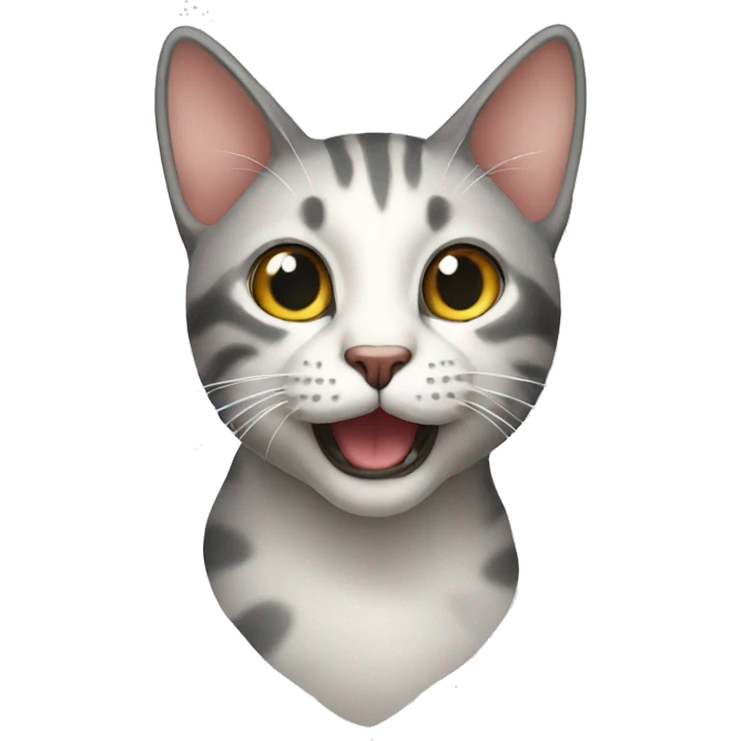Cat emoji