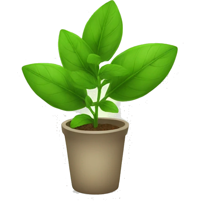 PLANT MEDICINE emoji
