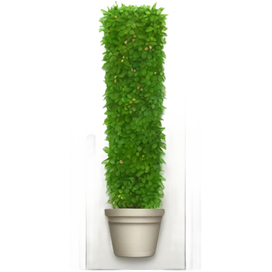 Very long white rectangular door pot with green plants  emoji