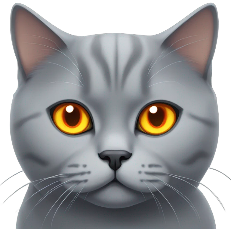 Grey british short hair cat with orange eyes emoji