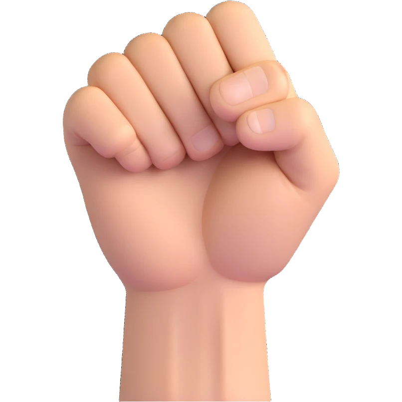 angry fist emoji