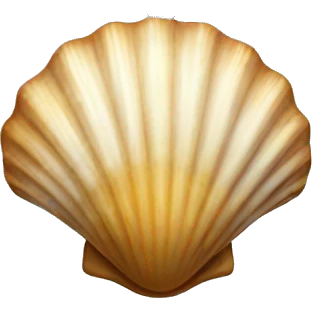 seashell necklace emoji