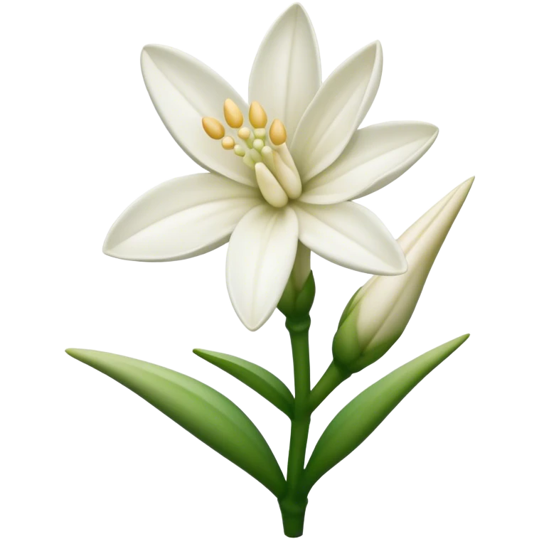 Tuberose flower emoji