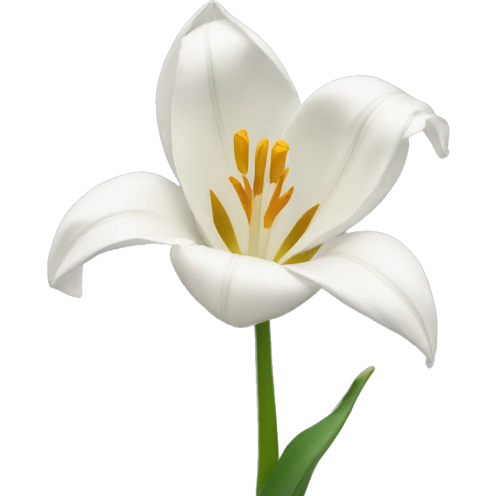 Tulipe blanche emoji