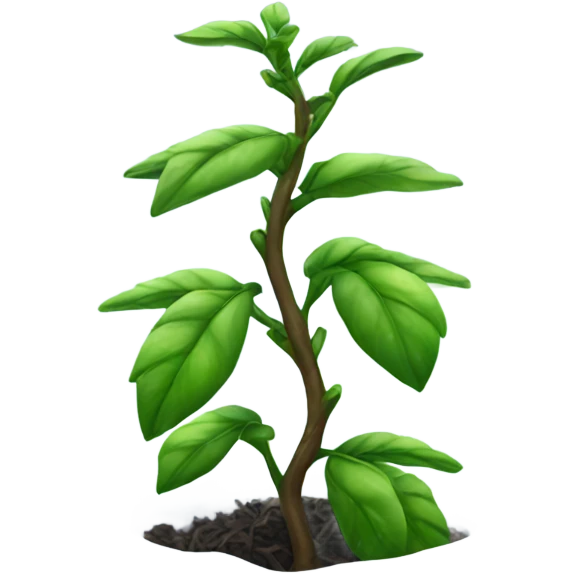 Tea plant in snow emoji