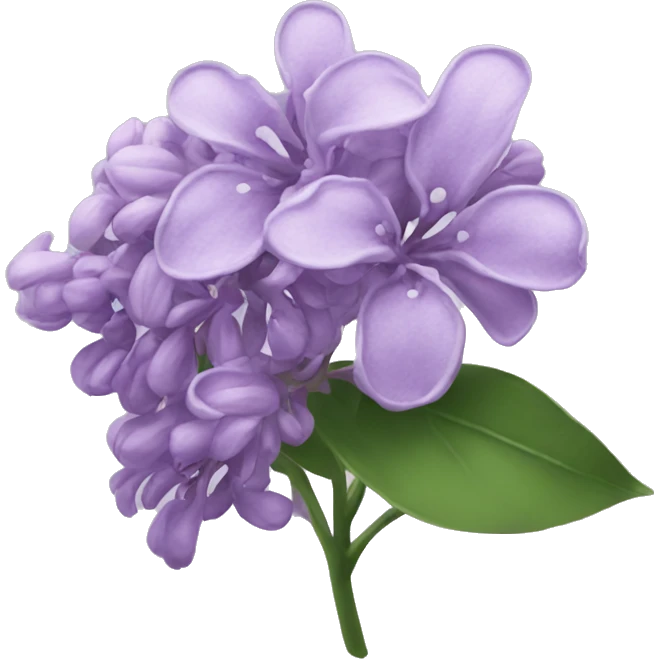 Lilac flower  emoji