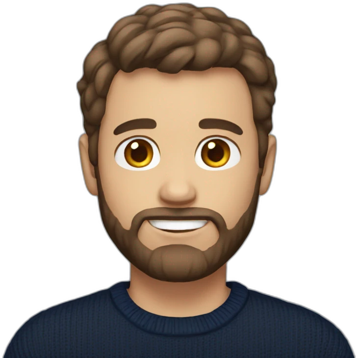 Man with short brown hair and trimmed beard and navy sweater emoji