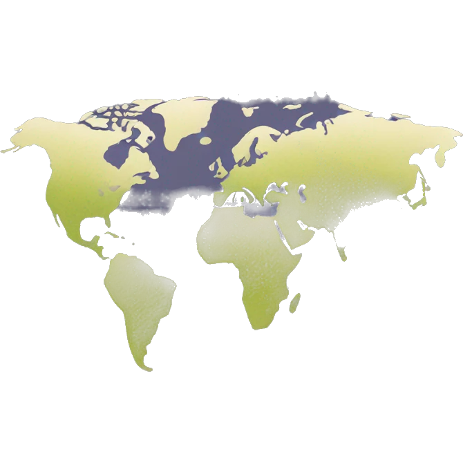 world map emoji
