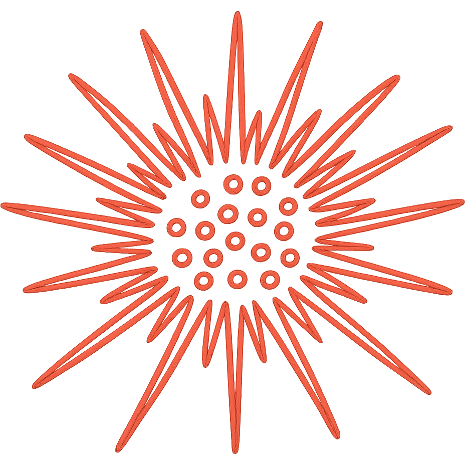 Sea urchin illustration in hand-drawn style with all lines in bright red, minimal design, no text, transparent background. emoji